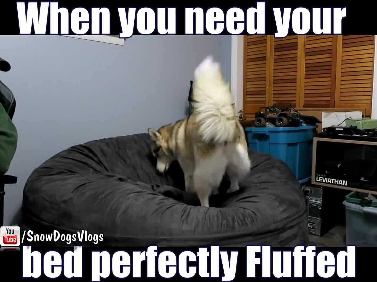 DOG FLUFFS GIANT BEAN BAG CHAIR