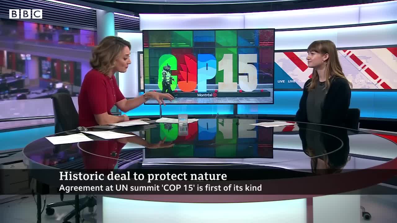 UN biodiversity summit COP15 reaches ‘historic’ deal to protect nature – BBC News