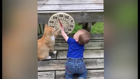 Cutest Babies Play With Dogs And Cats Compilation