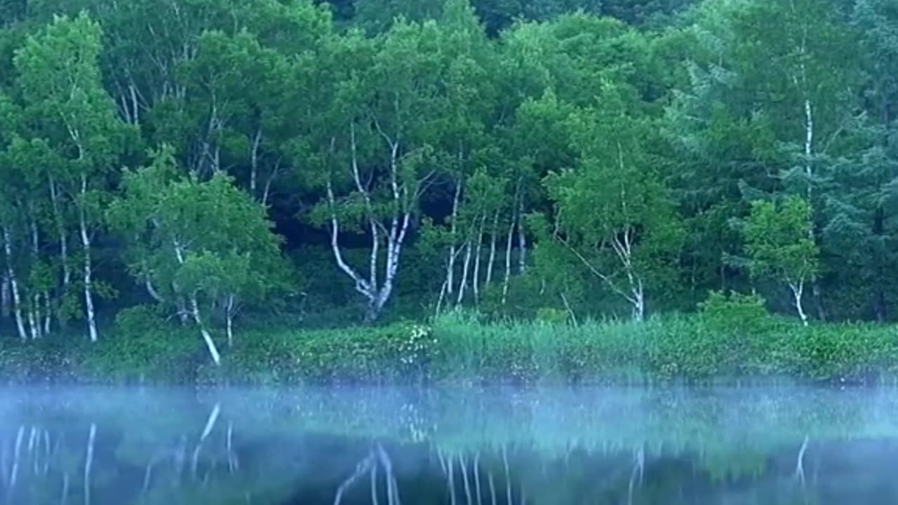 Relaxing Music 24/7, Sleep Music, Stress Relief Music, Spa, Meditation, Yoga, Zen, Sleeping Music🔴