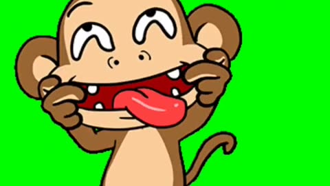 funny monkey