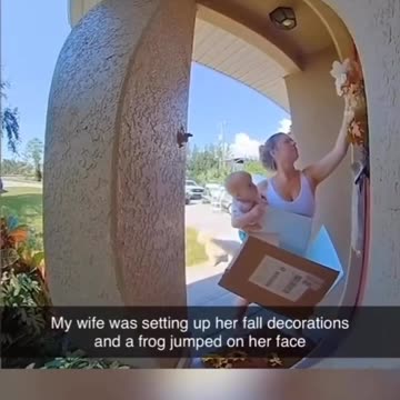 Frog Jumps on Her Face