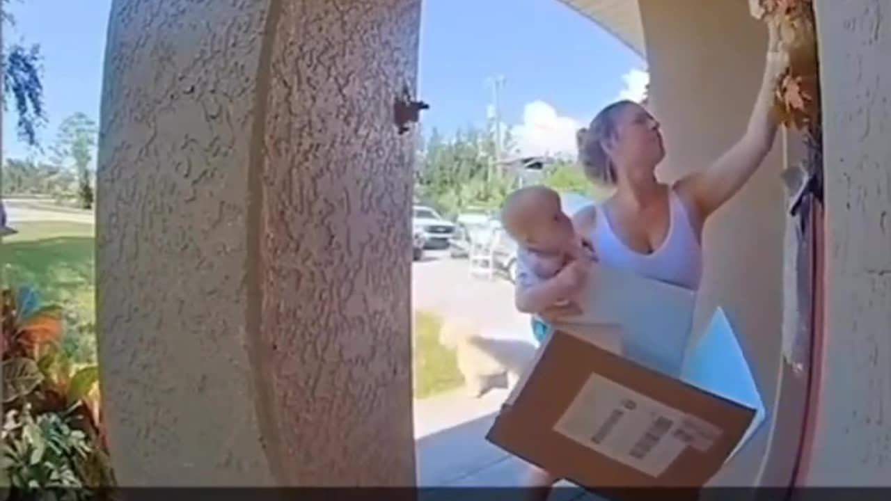 Frog Jumps on Her Face