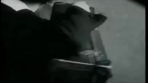 1920’s Berlin, Germany