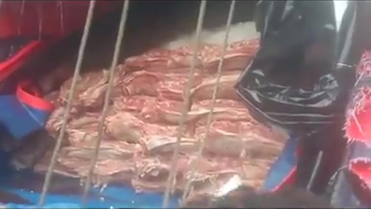 Cow meat