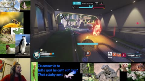 Overwatch Wrecking Ball