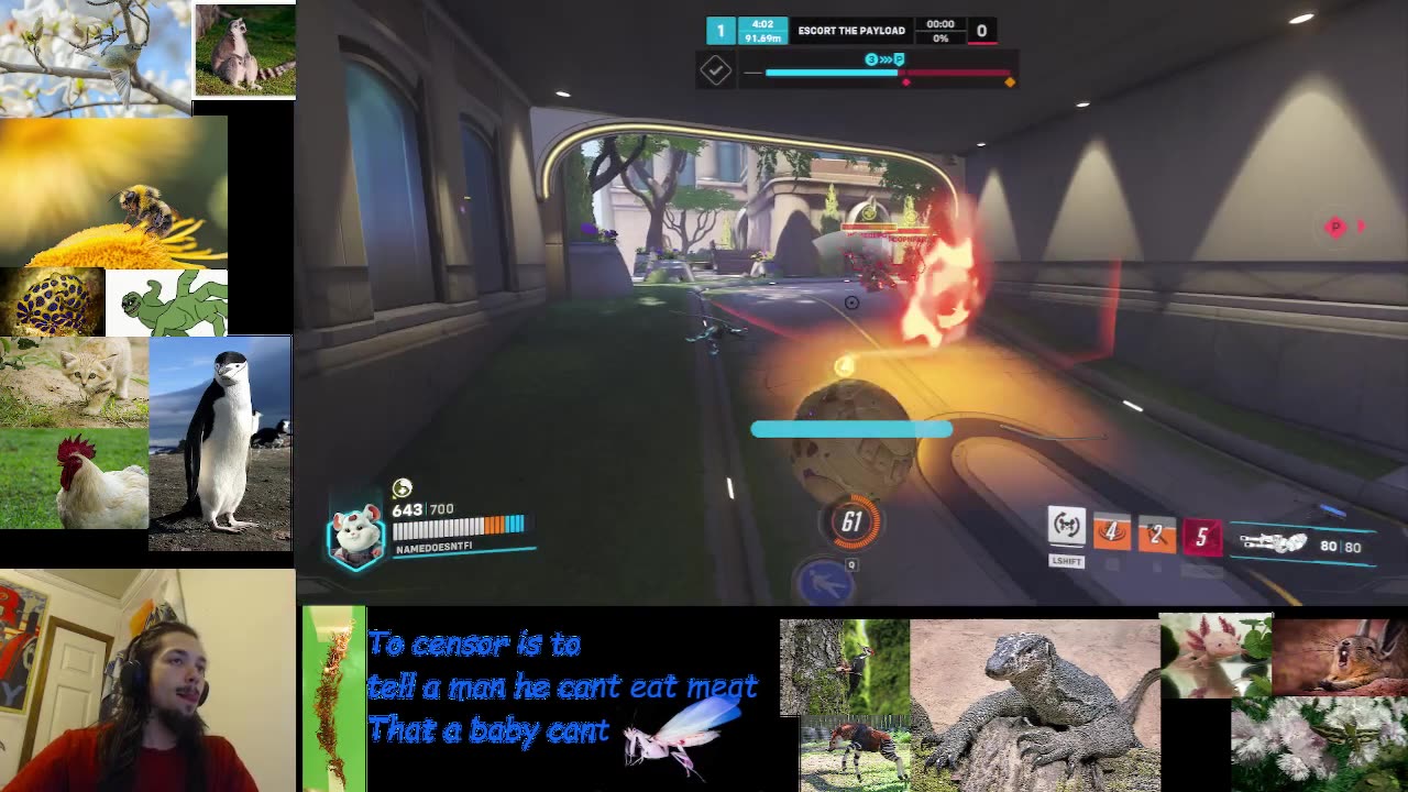 Overwatch Wrecking Ball