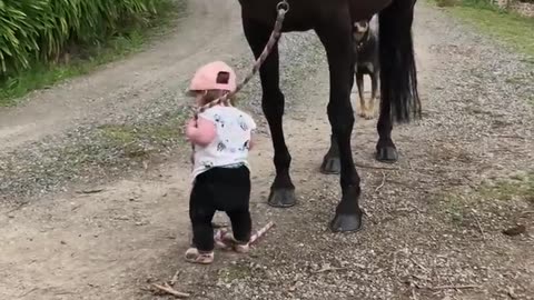 Little girl leads 🐎 horse