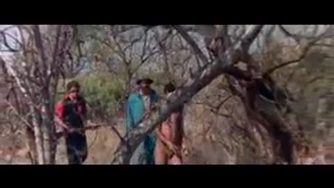 GOD MUST BE CRAZY COMEDY SCENE ( 240 X 320 )