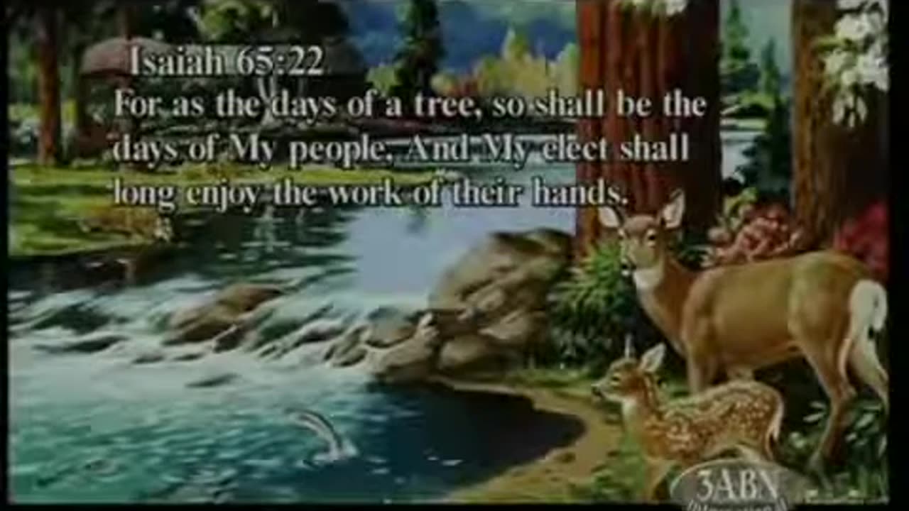 28. The New Jerusalem