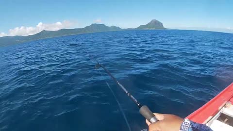 a leisurely fishing day in Mauritius' west