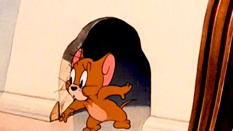 Tom and Jerry cartoon network and video