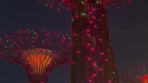 The Gardens by the Bay, Light Show or the Garden Rhapsody Singapore 🇸🇬