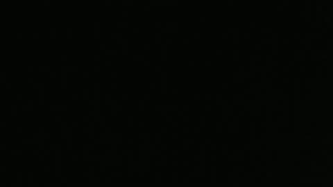 Chicks that Grunt 😂😂