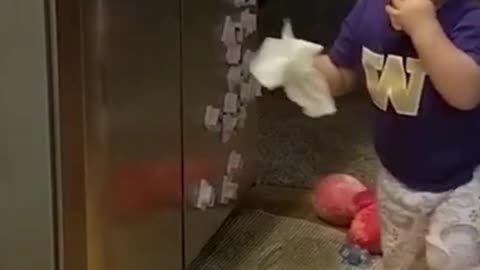 Baby, cleaning fridge