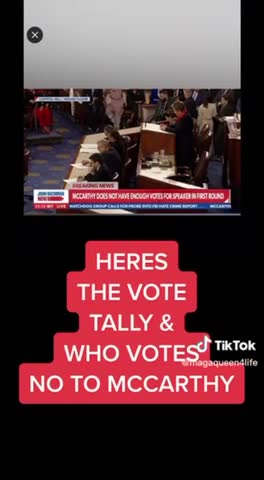 REAL REPUBLICANS❤️🇺🇸VOTES **NO** TO KEVIN MC CARTHY🎭🧩💫