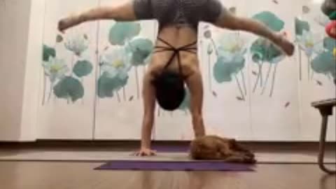 Yoga Handstand Pose - LidiYoga