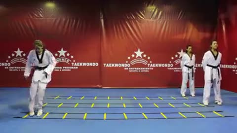 WTF Taekwondo