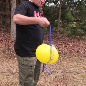 Do Prong Collars Poke Holes in Your Dog’s Neck?