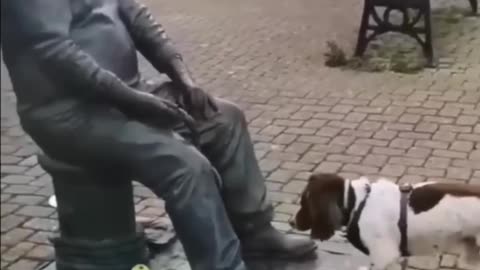 wait for the end 🤭😂🤣