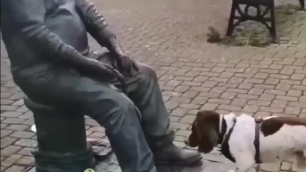 wait for the end ðŸ¤ðŸ˜‚🤣