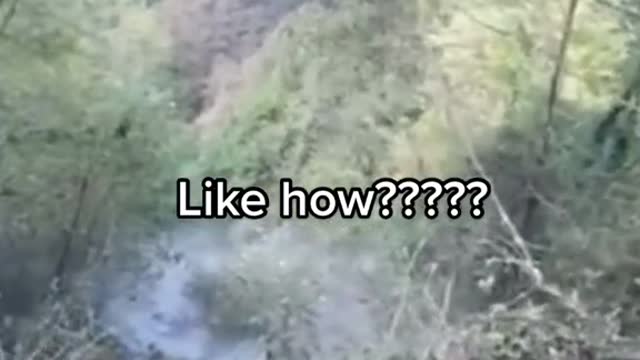 She had just time to