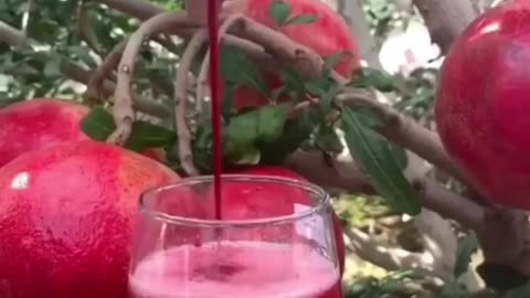 pomegranate juice