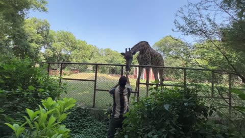 Kash yeh hamarey mini zoo ma hotey