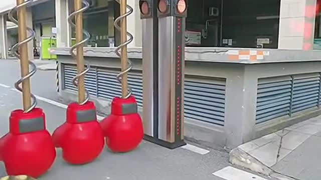#🐢 #🚙 Dare you run the red light next time!#🔥🔥foryou #🔥🔥🔥🔥🔥🔥 #♥️♥️♥️♥️♥️♥️