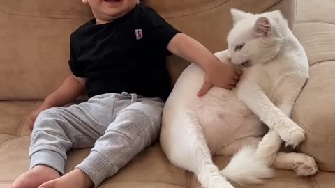 Tiny baby excited and happy to hug giant cats