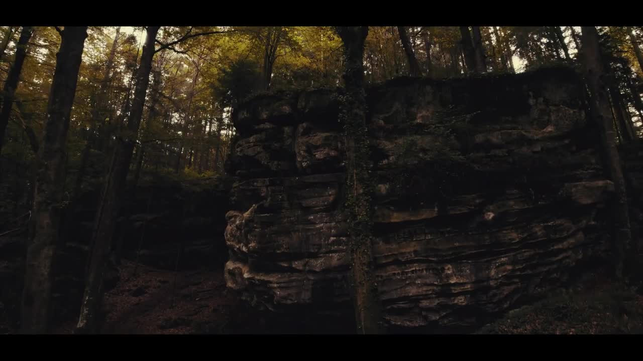 Cinematic Drone Footage Bird's Eye View of Luxembourg