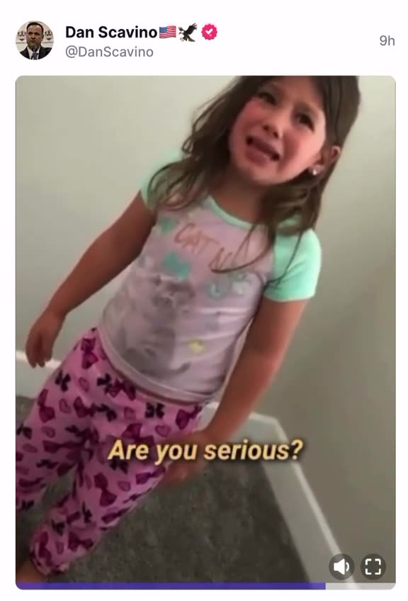 From SCAVINO - Daddy called me a DEMOCRAT !!!