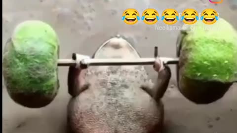 Funny videos,funny comedy, intertainment video, do not laugh
