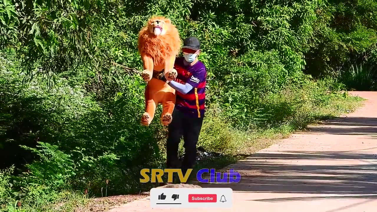 Big Fake Lion vs Real Dogs Prank Very Funny