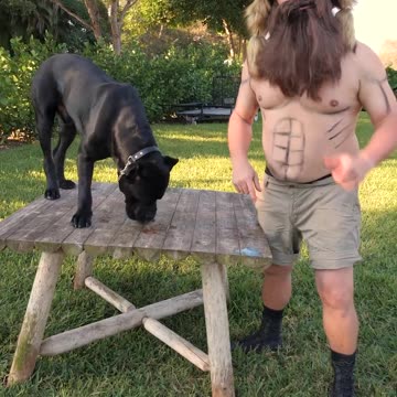 Liver King Meets American Standard K9