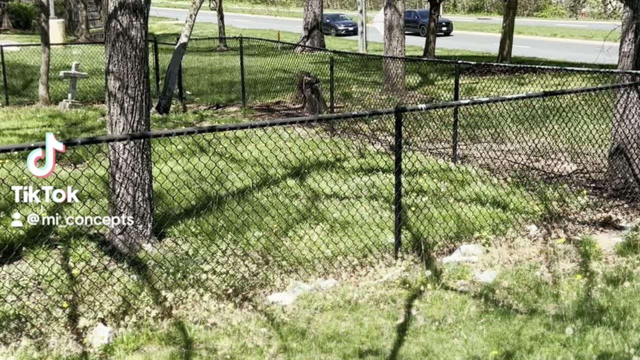 Lost Cemetery