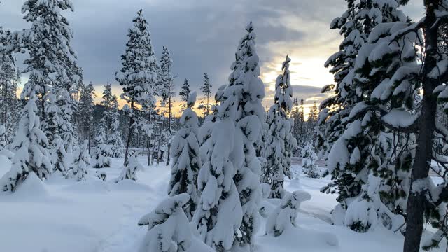 Morning Horizon Glow – Central Oregon – Vista Butte Sno-Park – 4K