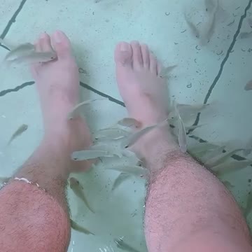 Farmed fish know the owner