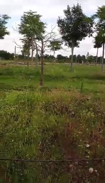 Trent Page at Columbus zoo!