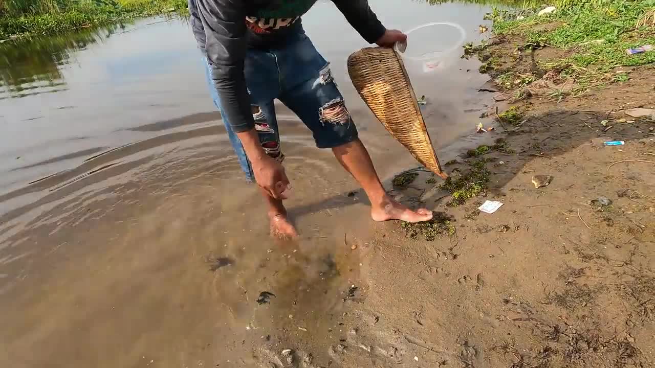 Amazing Catching Turtles in the Nest and Fishing Betta fish Lobster in a lake near the village-3