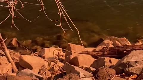 00Imagine fishing in the old days