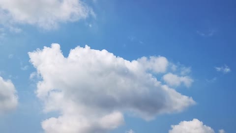 horse face cloud