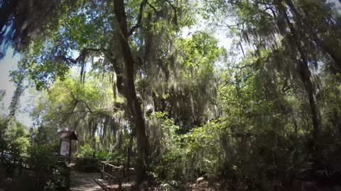 Blasian Babies Family Drive Honda CR-V To Fort Caroline, Ribault Memorial, Spanish Pond, And Back!