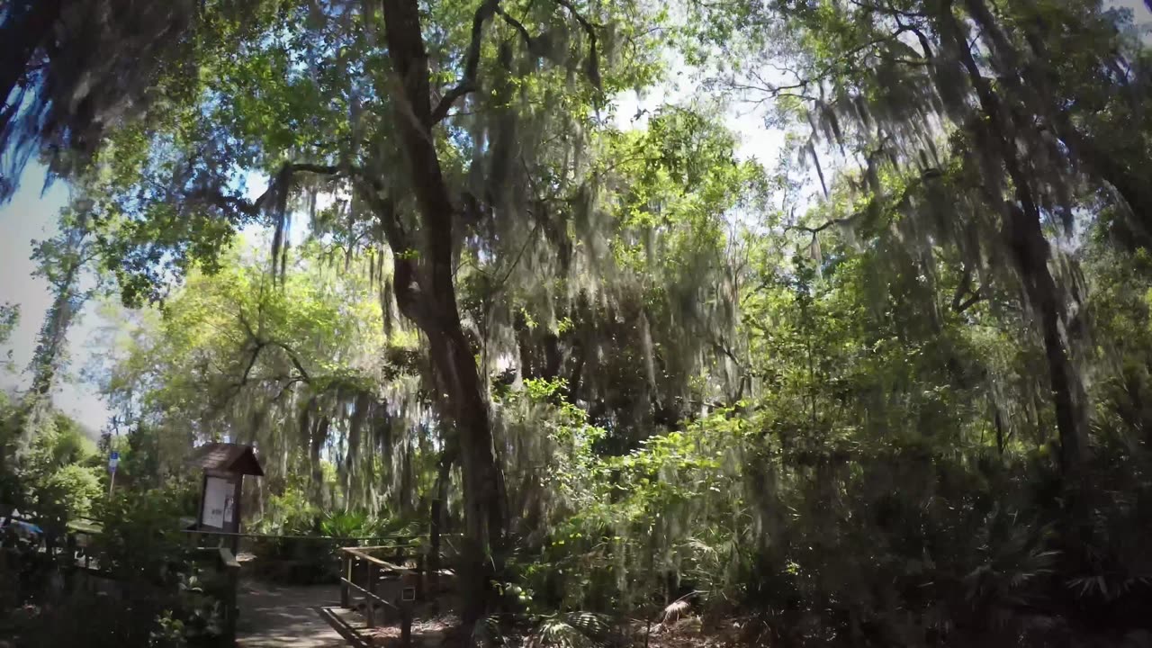 Blasian Babies Family Drive Honda CR-V To Fort Caroline, Ribault Memorial, Spanish Pond, And Back!