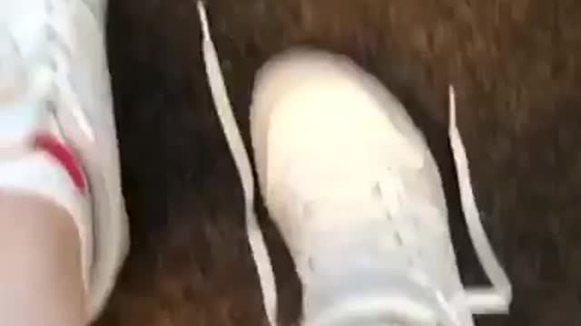 What do you think of my new shoes?