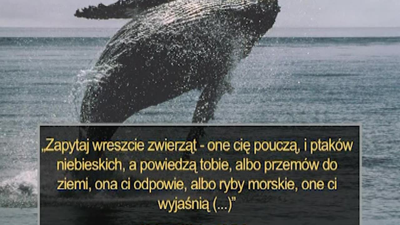 Bóg porządku