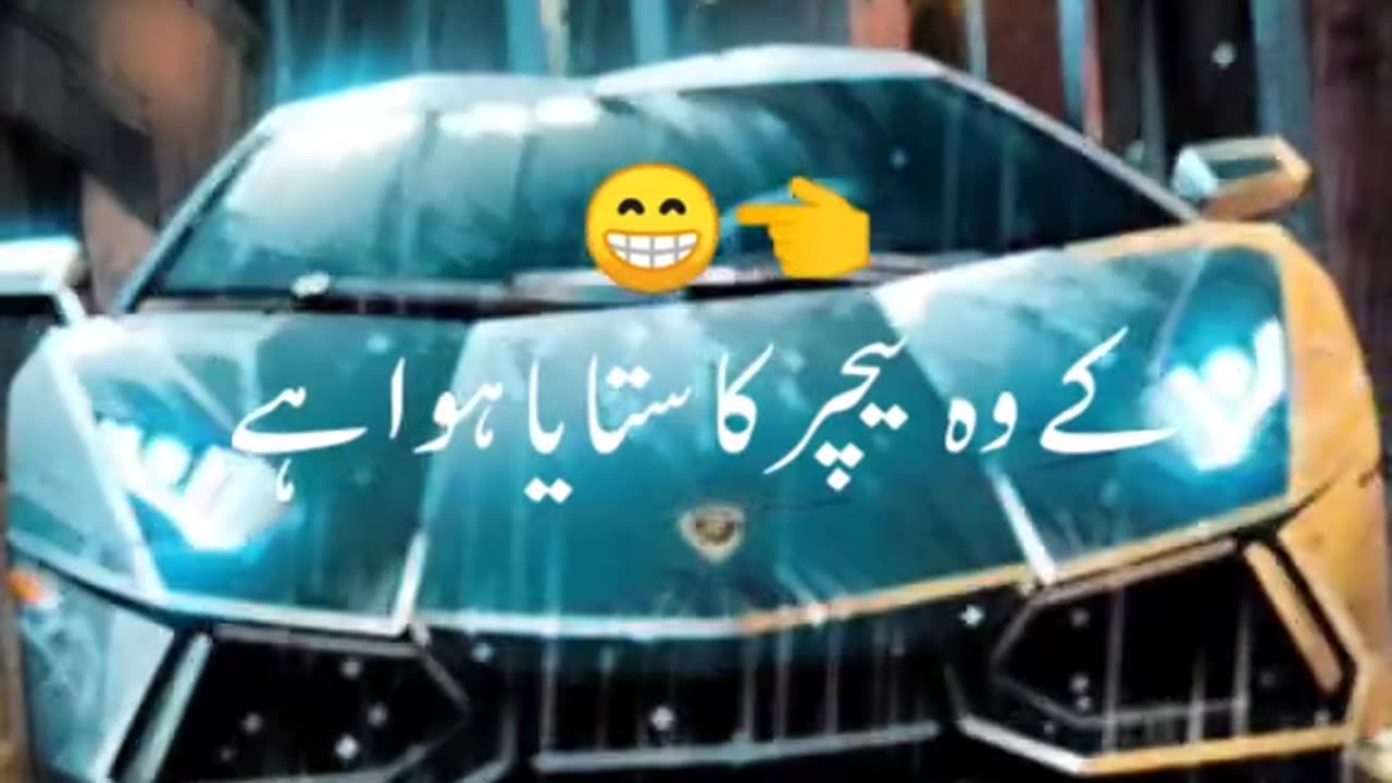The car craze