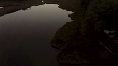 Discovering the Wetlands