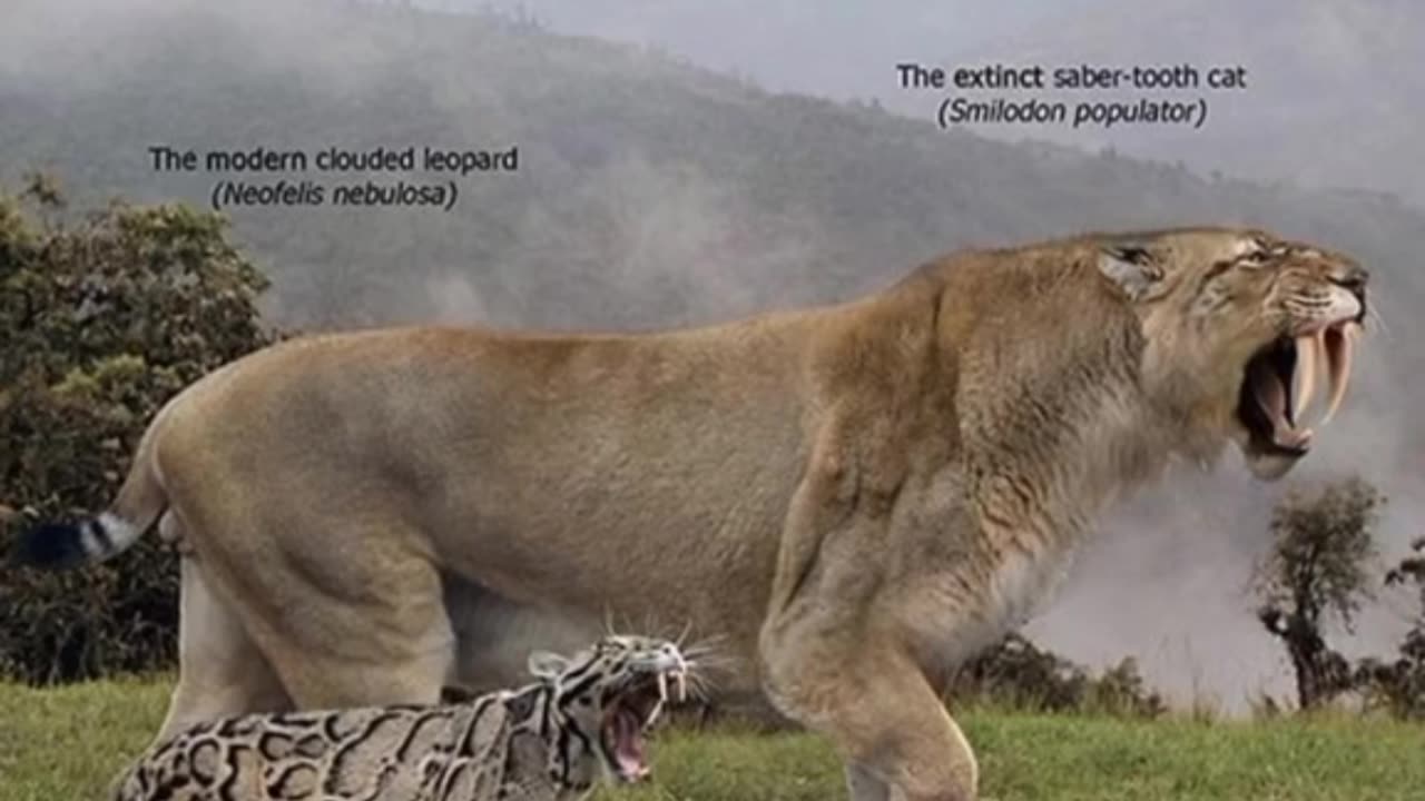 Things that are actually bigger than you think😱