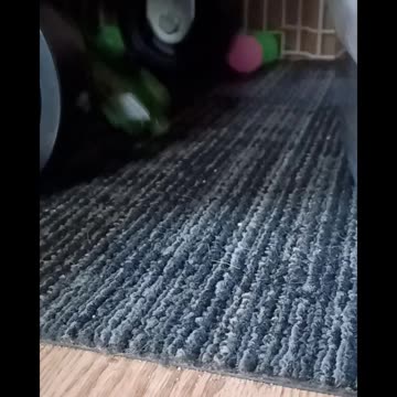 Romeo being adorable again!